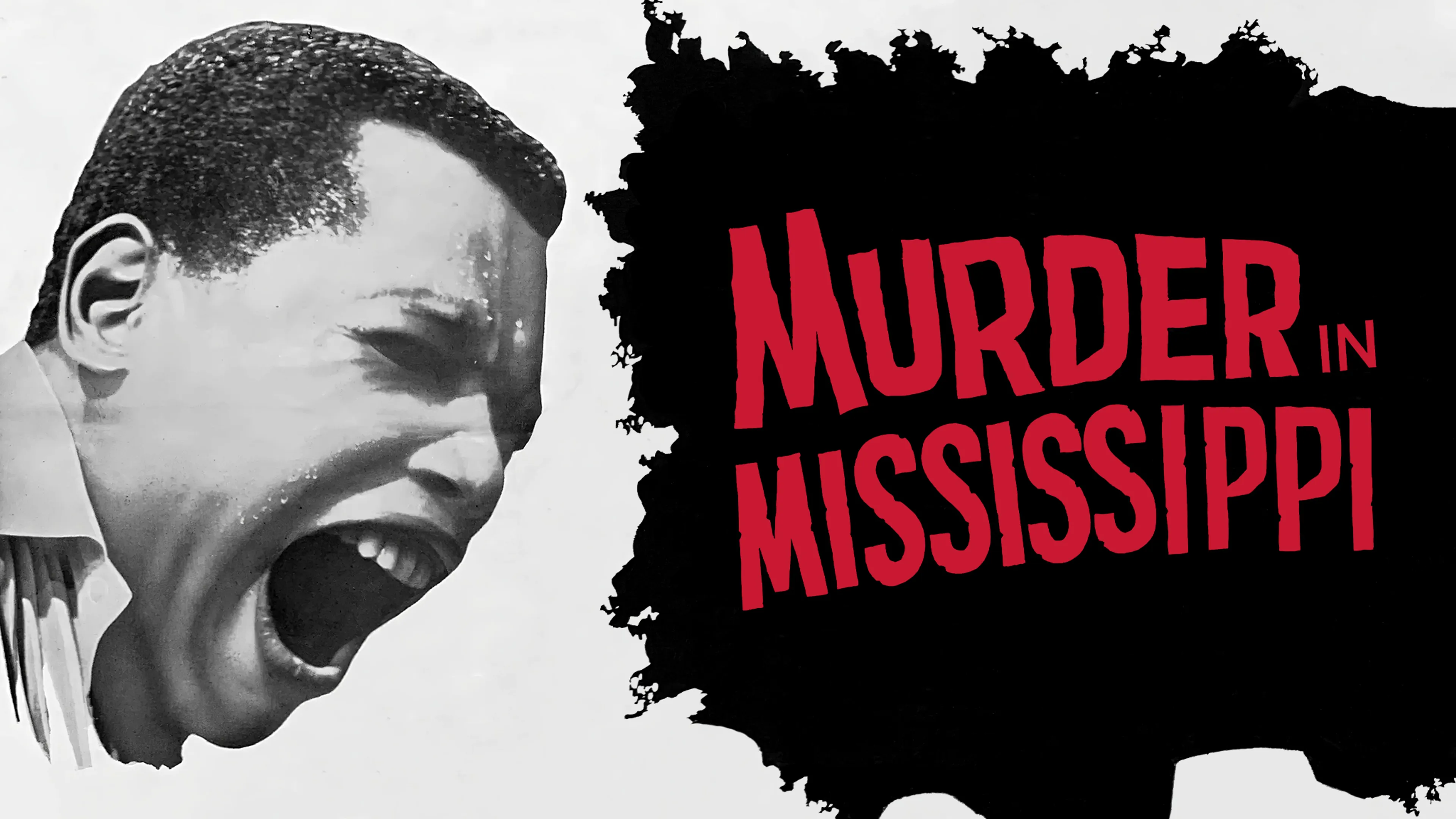 Murder in Mississippi poster